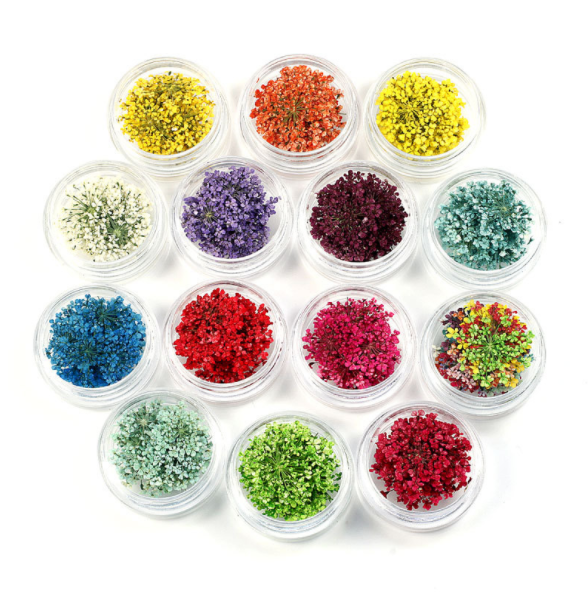 鲜切花实物图