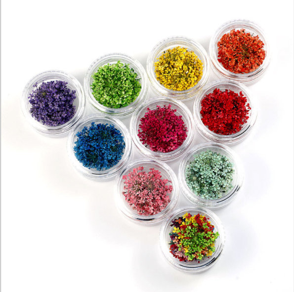 满天星干花压花 雪珠花 蕾丝花 diy滴胶押花材料 手机壳美甲饰品细节图