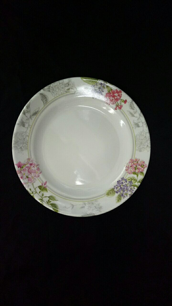 9 "flat plate 2009