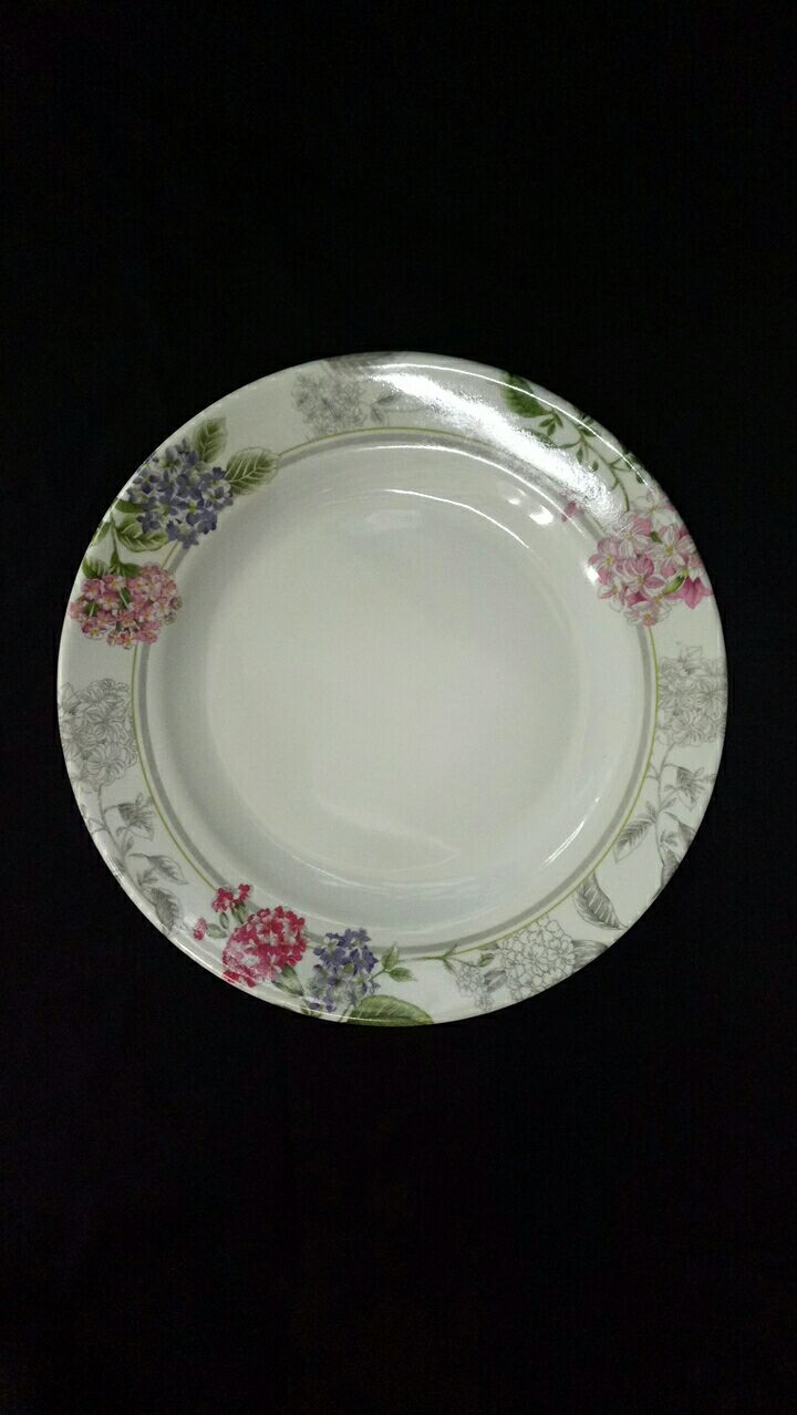 Melamine flat 2010