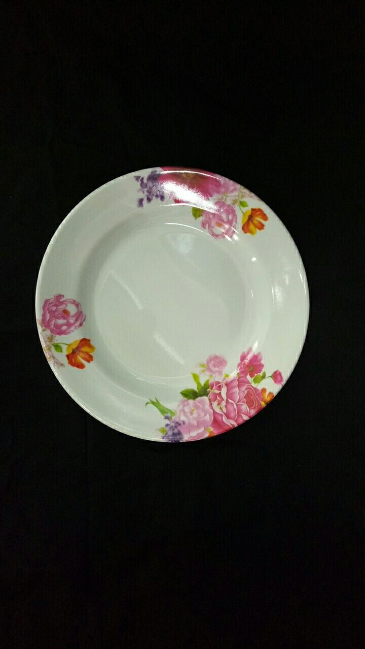 Amine flat plate 2108