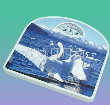 Human scales health scales household scales