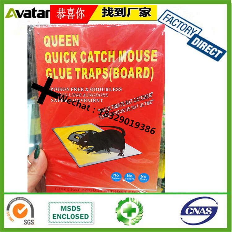 QUEEN QUICK CATCH MOUSE GLUE TRAP BOARD Queen Quick catch mouse glue trap board