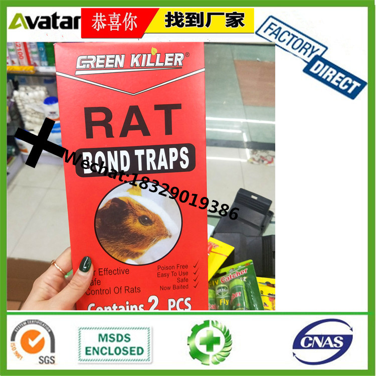 GREEN KILLER RAT BOND TRAPS Green killer rat bond Traps Green killer rat bond Traps Green killer rat bond traps Green killer rat bond traps Green killer rat bond traps