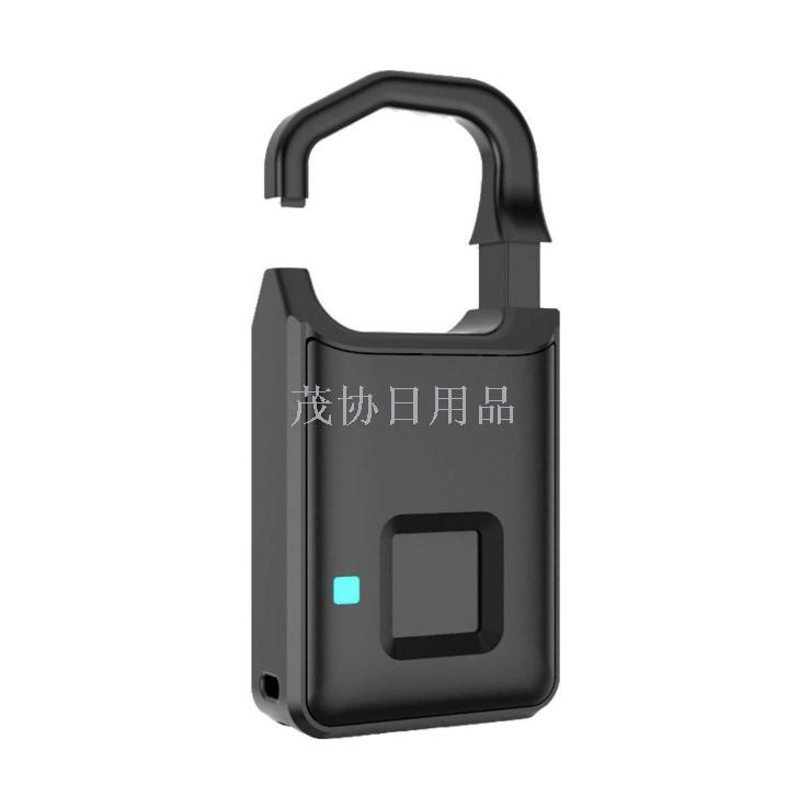 Portable fingerprint lock, smart luggage, business cabinet, student dormitory, gym, fingerprint padlock, small lock head details Picture