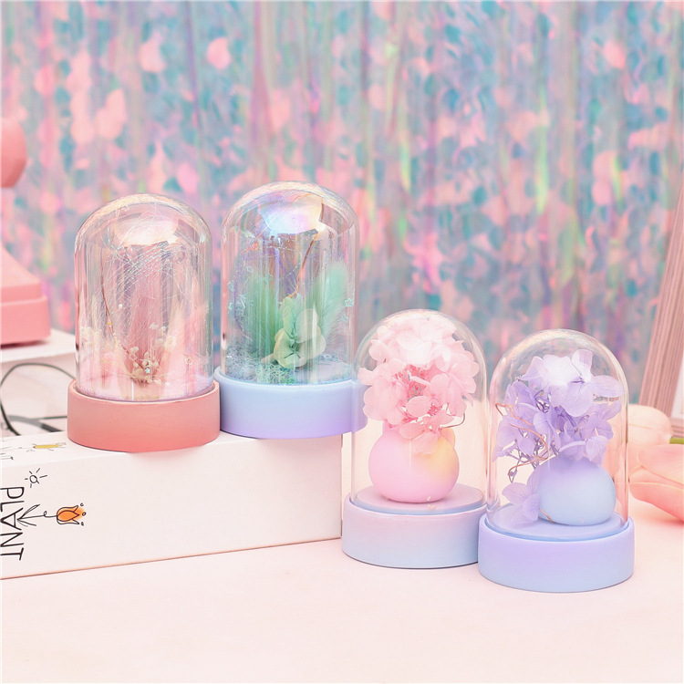 创意新品干花许愿品摆件工艺品礼品许愿灯学生礼品生日礼物摆设