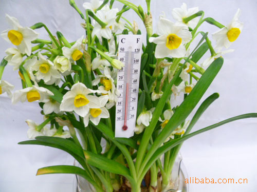 Factory direct sales of handicrafts paper thermometers, portable 8.5*1.5 cardboard glass red water thermometers, digital indoor and outdoor temperatures details Picture