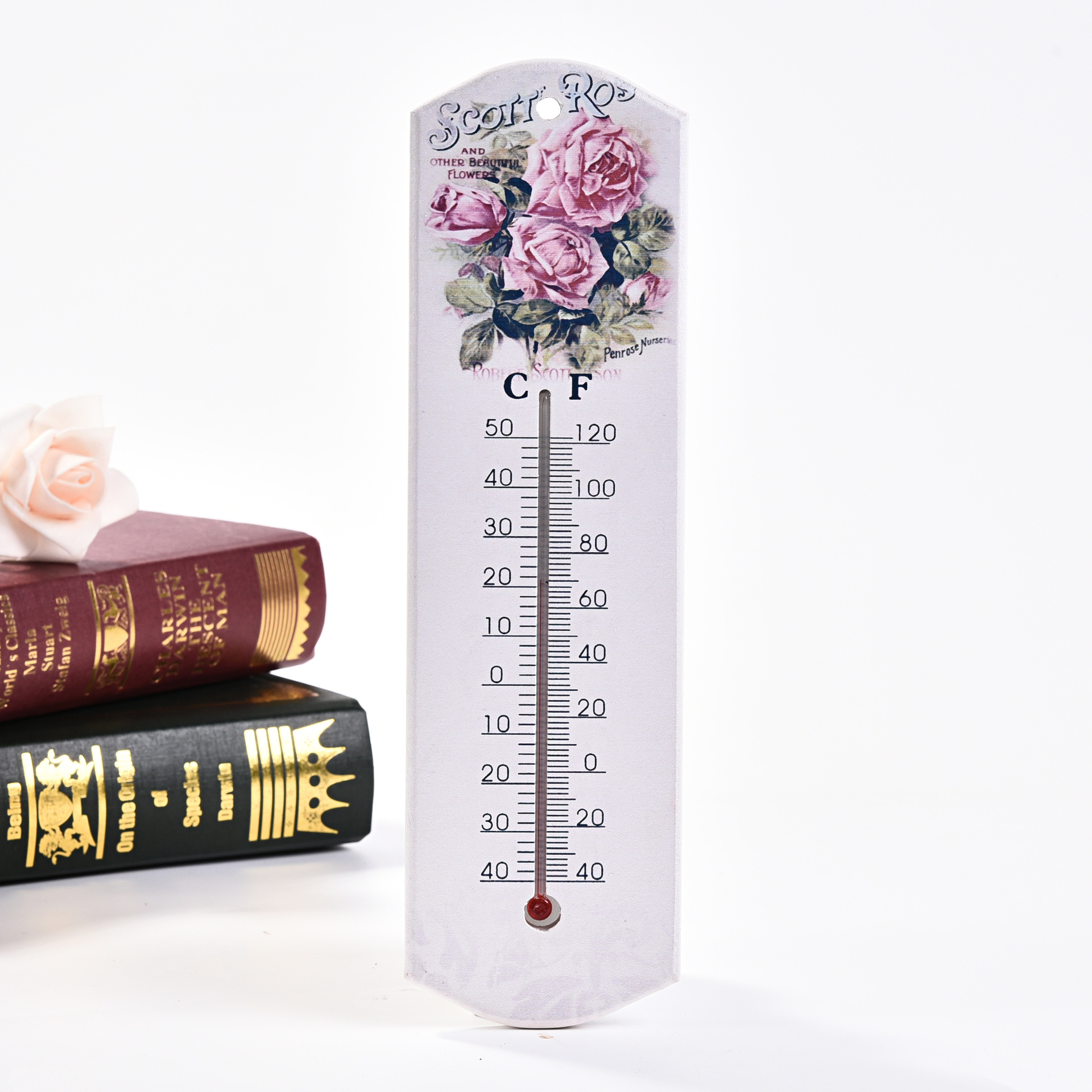 Specializing in the production of printed and patterned thermometers, digital thermometers, and wooden thermometers Application Scenario