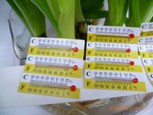 Wholesale paper thermometers, 2.9*1.0 glass thermometers, alcohol thermometers Application Scenario