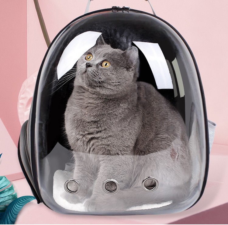 猫包全景透明宠物包外出便携猫咪双肩包太空舱旅行包狗狗外出用品产品图