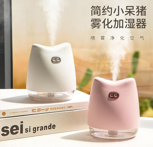Daixiaozhu usb Humidifier, Mini Desktop Humidifier, Seven-color Night Light Humidifier Application Scenario
