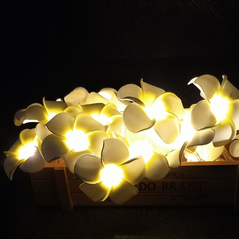 室内LED灯串实物图