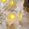 鸡蛋花灯串LED串灯彩灯ins装饰仿真花串灯产品图