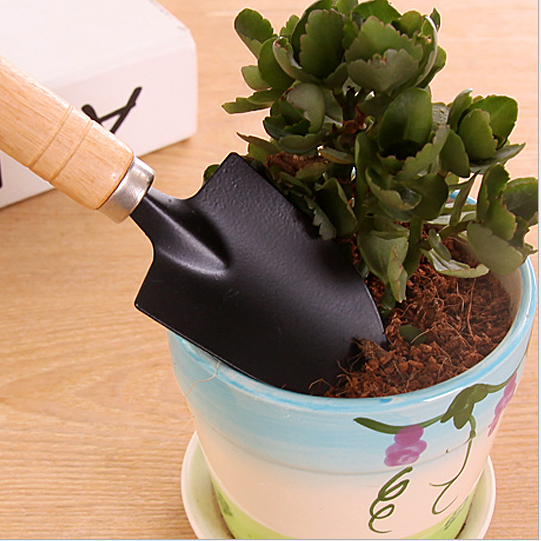 Potted spatula Grow flowers Grow flowers Gardening tools Grow succulent tools Set Mini three-piece household shovel Specification drawing