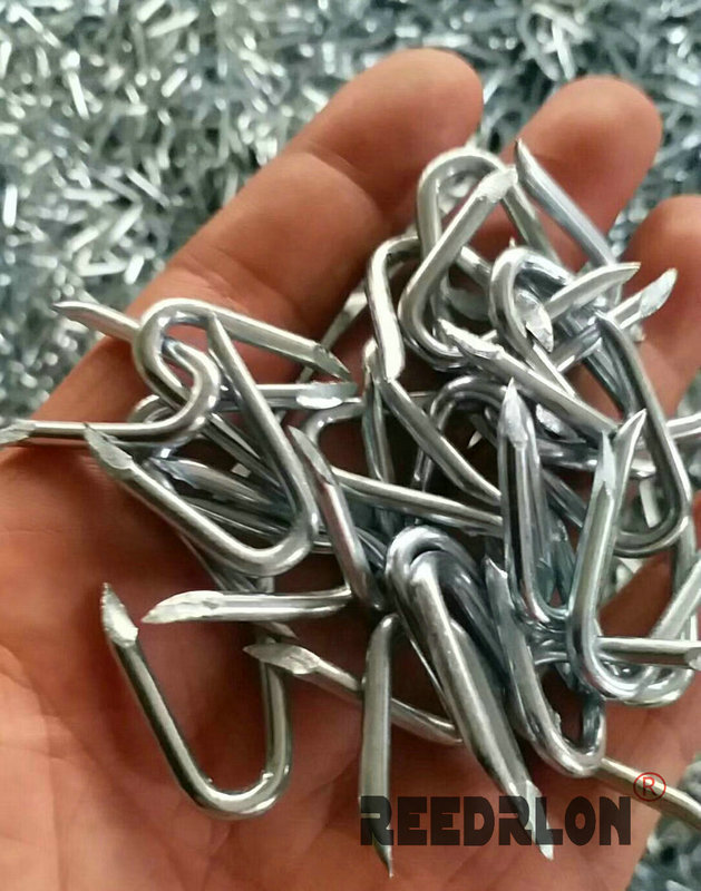 27 Redron u-nails Barbed wire fixing nails