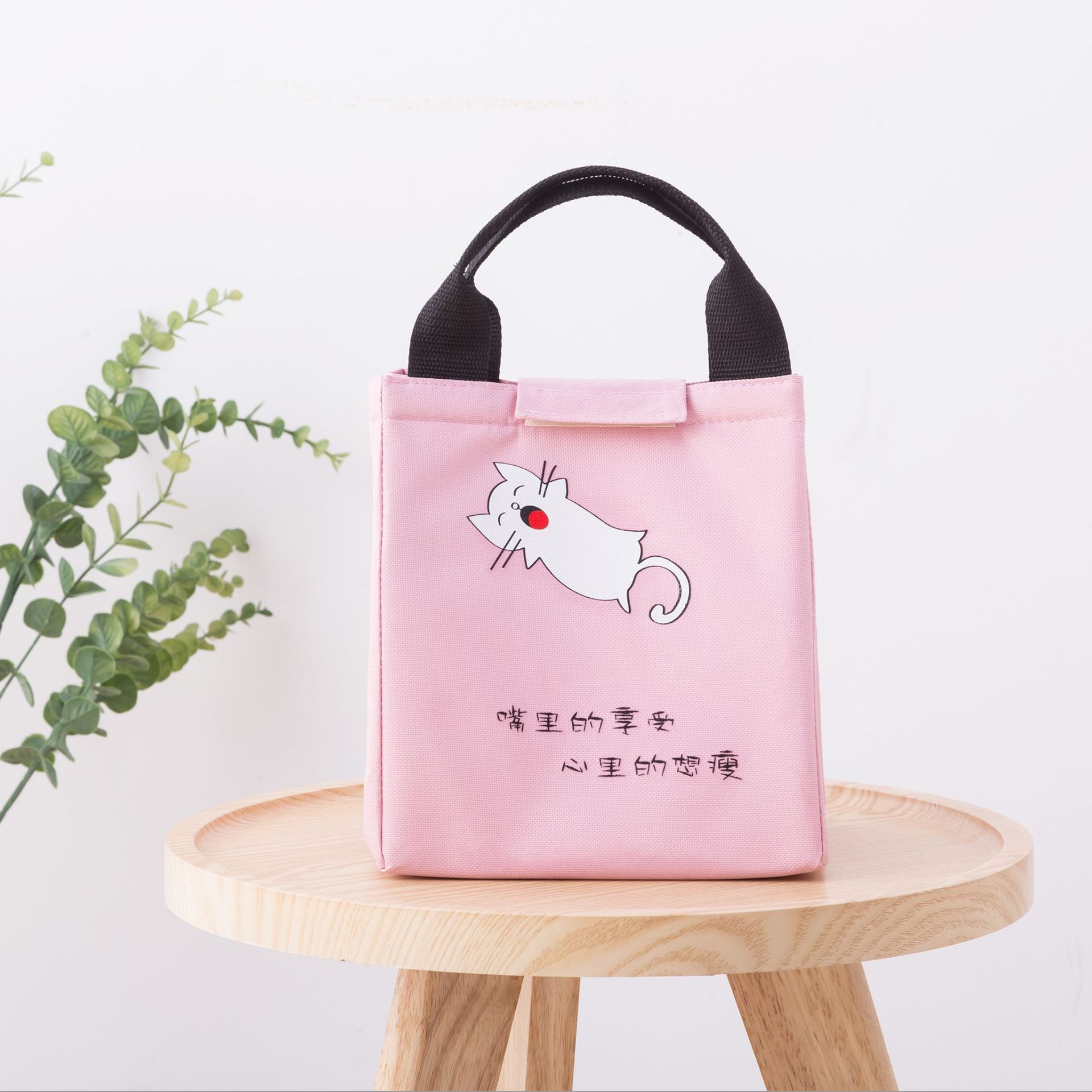 Explosive Picnic Thermal Ice Bag Takeaway Thermal Ice Bag Oxford Cloth Aluminum Foil Thermal Bag Bento Bag Storage Box details Picture