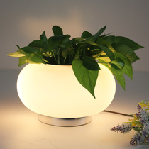 Rural garden living room glass plant decorative table lamp modern creative potted study bedroom bedside lamp