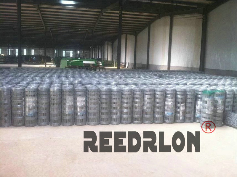 50 Redron Cattle Net GAME WIRE Application Scenario