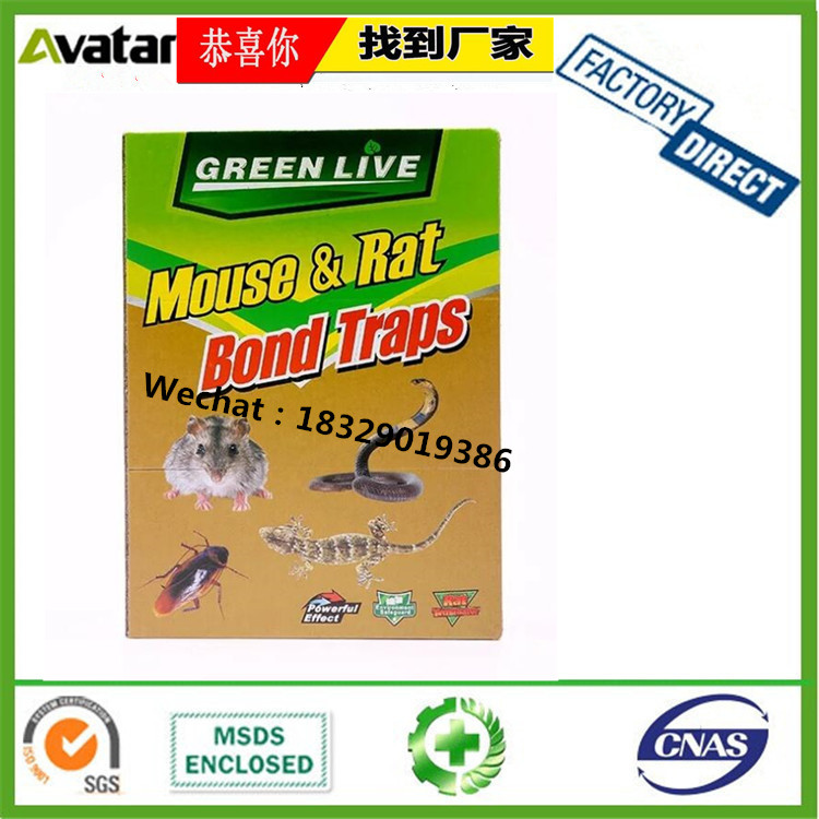 Source factory direct sales GREEN LIVE yellow board sticky mouse board Yellow board mouse catch board yellow board mouse glue board yellow board mouse catch sticker