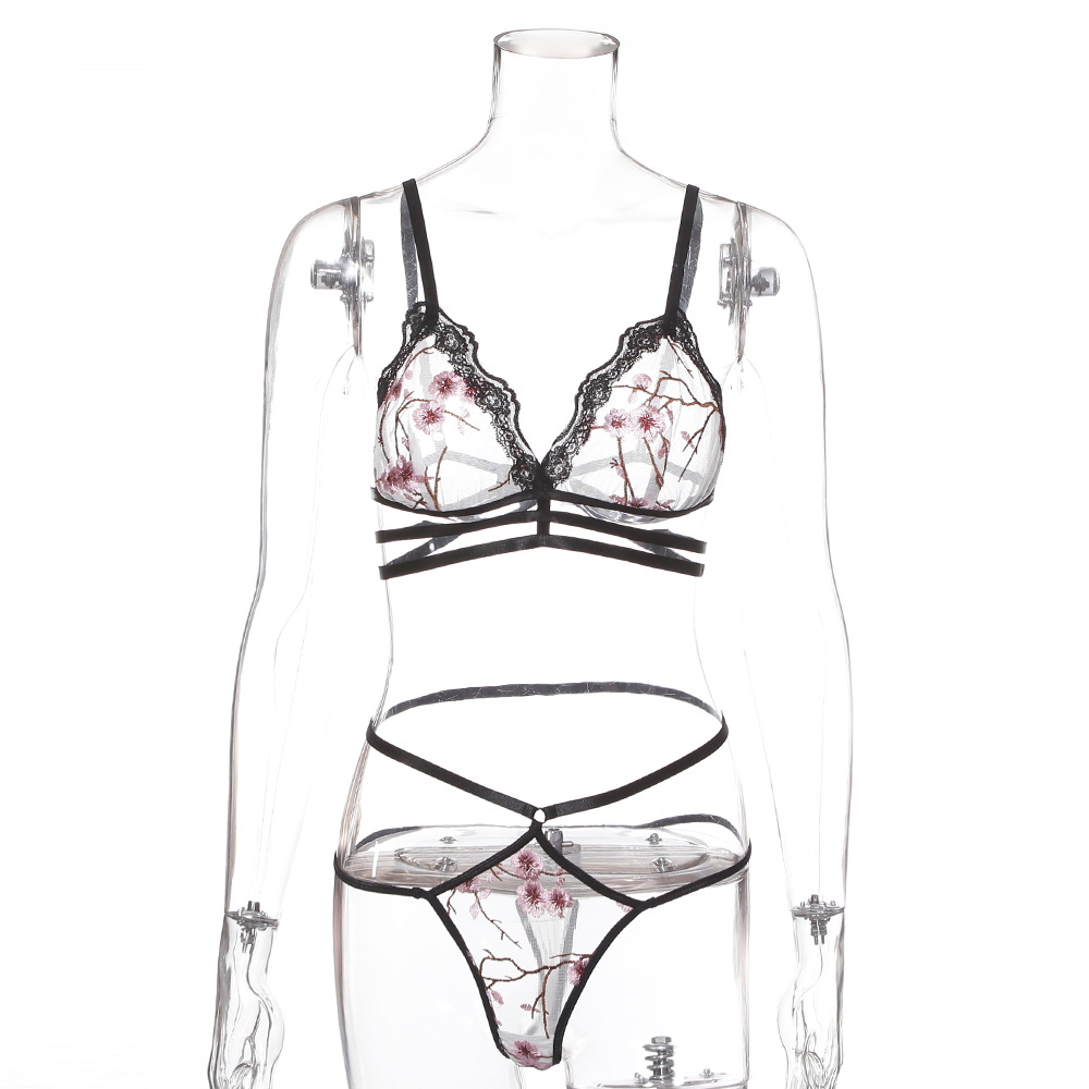 Amazon's best-selling 2019 Lace-trimmed, embroidered and lace-stitched women's lingerie set 8710 in Europe and America Specification image