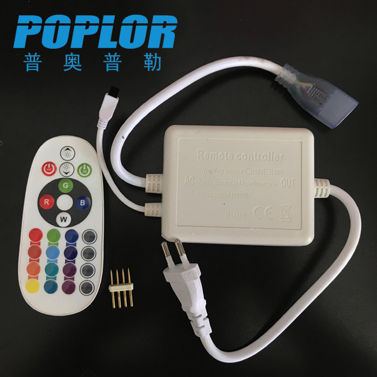 LED lamp with power plug RGB lamp with power cord 220V with 50 meters lamp with remote control