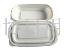 Environmentally friendly food grade biodegradable dish