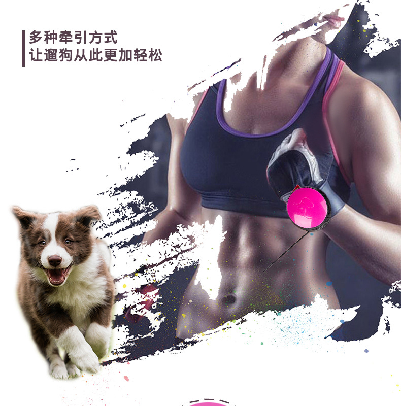 直销宠物手腕牵引绳新款尼龙狗链子3米防爆冲牵引带狗狗牵引绳。。产品图