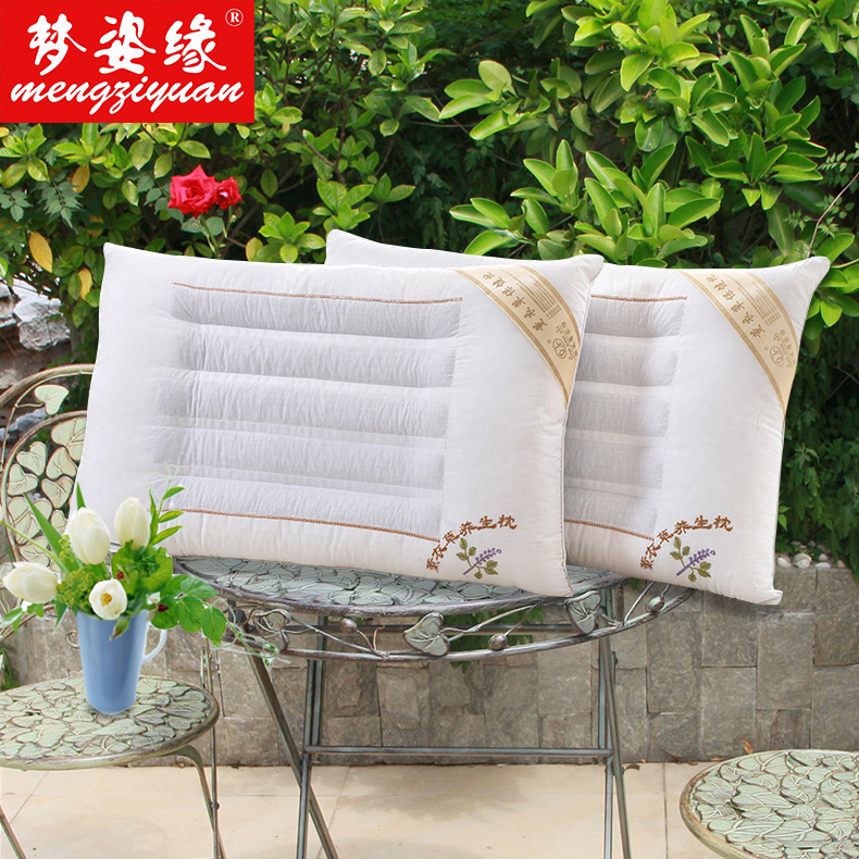 The 2013 new style of fashionable and soft health care pillows can be customized in various ways/wholesale available details Picture