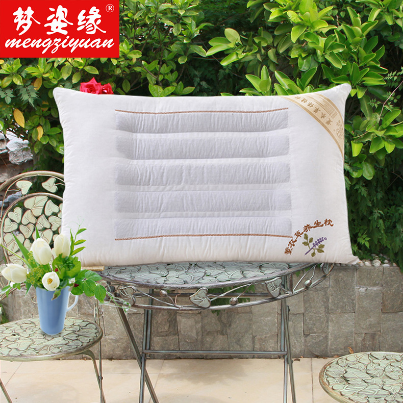 The 2013 new style of fashionable and soft health care pillows can be customized in various ways/wholesale available Specification image