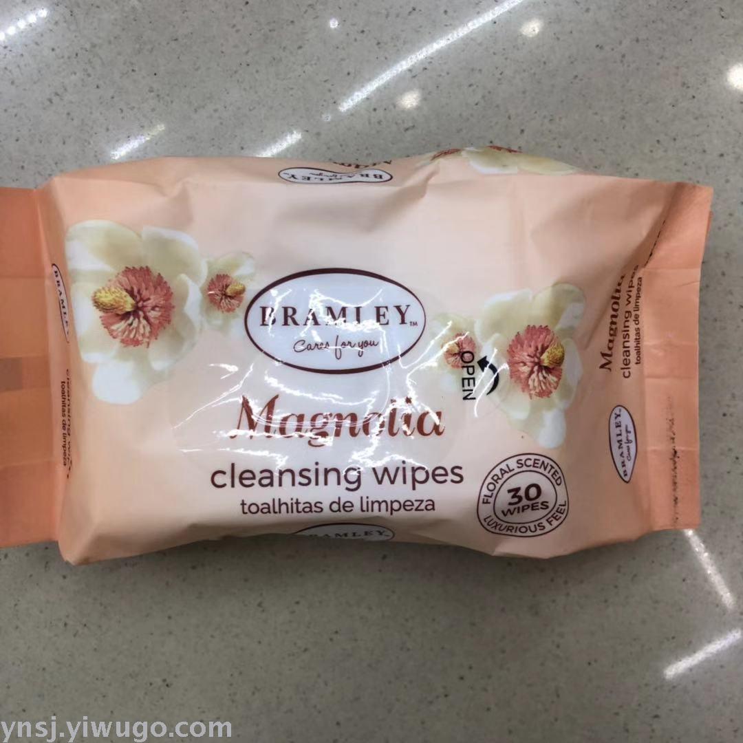 Manufacturers direct 30 pieces of multifunctional cleaning wipes