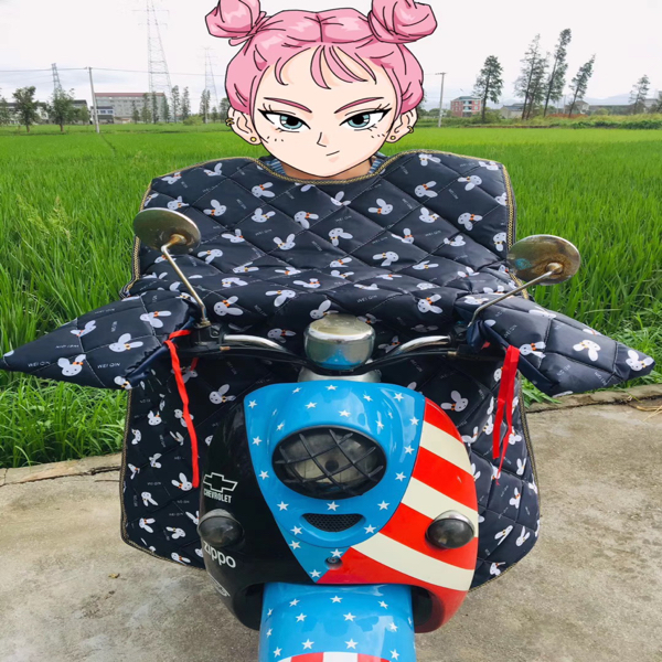 厂家批发电动车大拇指挡风被冬季加厚加大防水电瓶车挡风罩冬天细节图