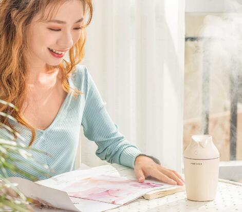 New Mr. Good Mini Humidifier USB car, office and bedroom water replenishment humidifier details Picture