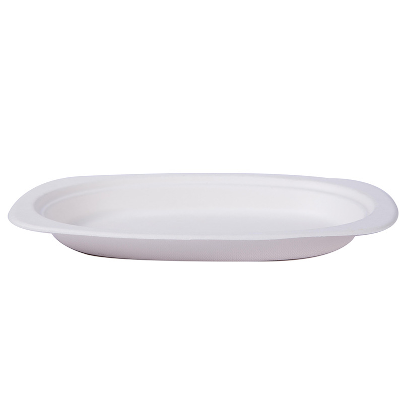 Manufacturers Wholesale Environmental Protection Disposable Round Paper Plate Fast Food Special White Degradable Quality Material Square Paper Plate Application Scenario