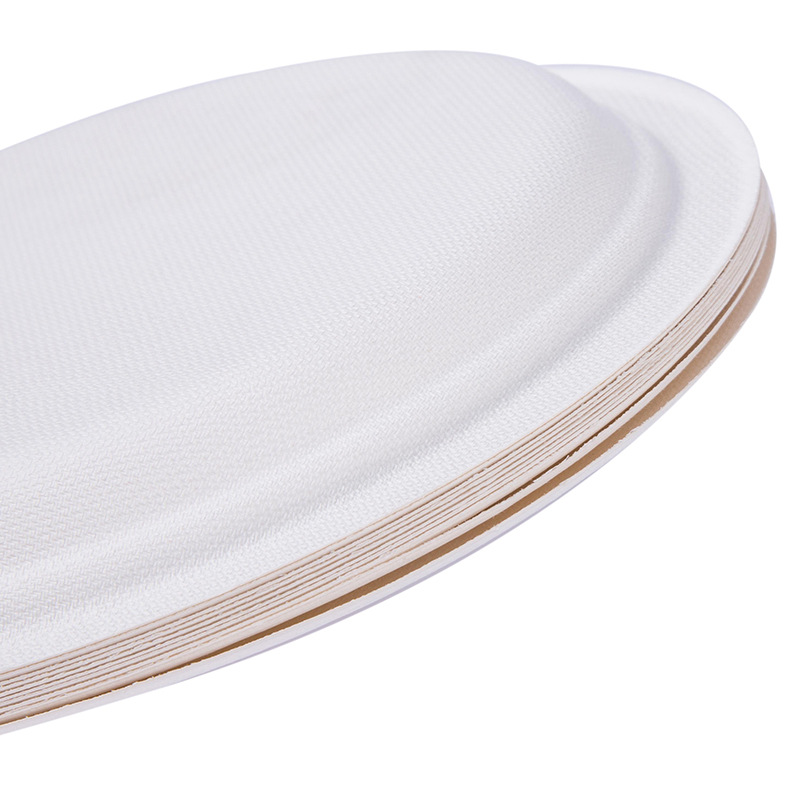 Environmentally Friendly Disposable Round Paper Plate Fast Food Special White Degradable High-Quality Material Round Paper Plate Application Scenario