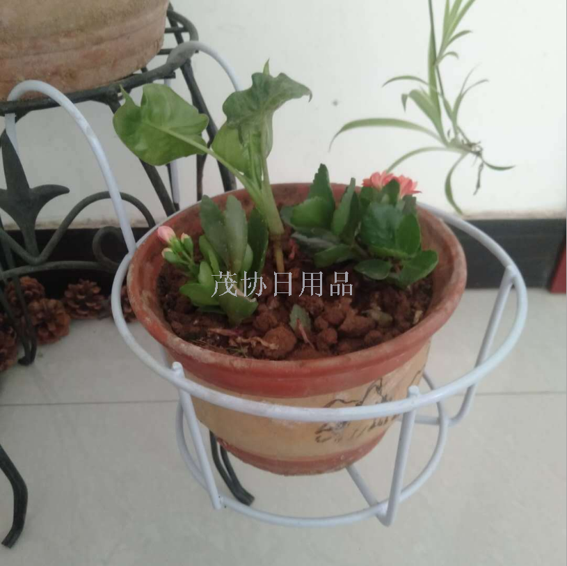 European-style iron flower stand for hanging flower POTS on the balcony railing Specification image