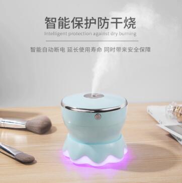 Weier humidifier USB Mini Home Car desktop Water Replenishment Humidifier, Small humidifier for office and dormitory