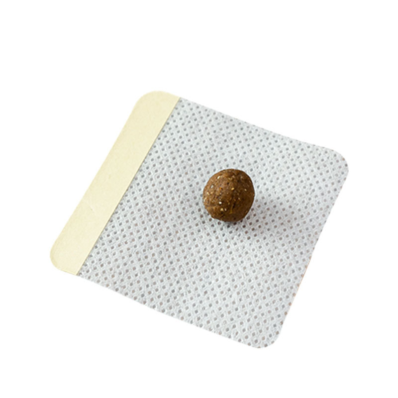 智能艾灸仪实物图