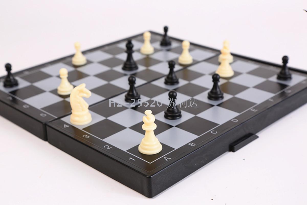 2029 blanco y negro ajedrez magnético tablero plegable puzzle juegos de juguete 1818 3270 Application Scenario