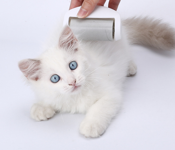 The pet hair remover, pet roller, pet hair sticking device and pet hair cleaning device are designed with strong adsorption capacity Application Scenario