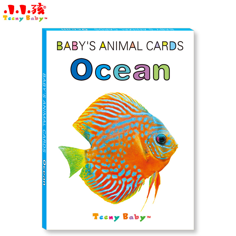 玩具挂图/认知卡实物图