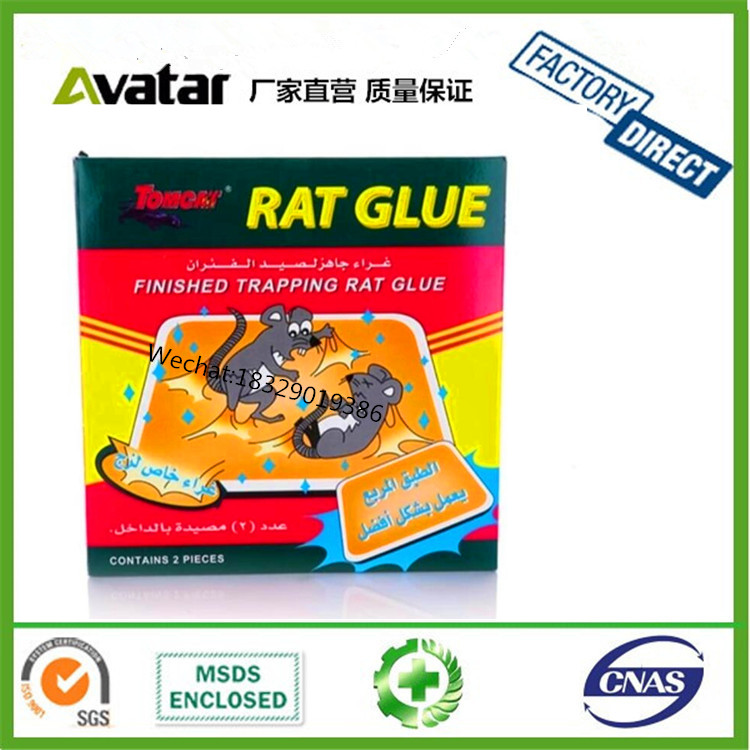 Source manufacturers direct sales of Saudi plastic rat board plastic sheet rat paste plastic with tray rat board Saudi rat glue rat paste