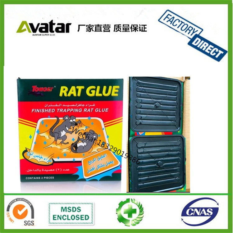 源头厂家直销沙特塑料托盘老鼠板 塑料片捕杀老鼠贴 塑料片老鼠贴 沙特鼠陷阱