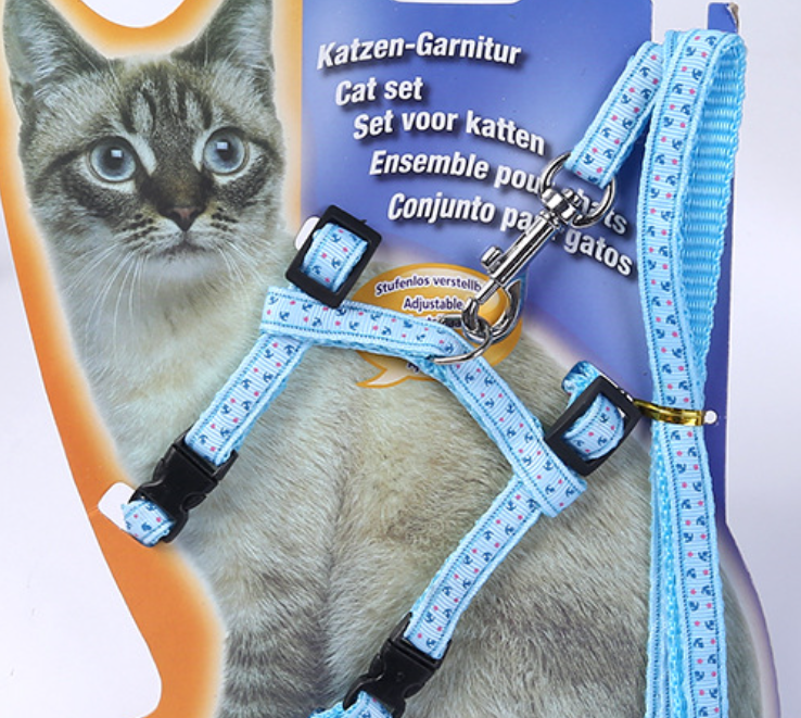 跨境宠物用品猫猫牵引绳心形卡通猫链绳小猫胸背带定制猫咪牵引绳产品图