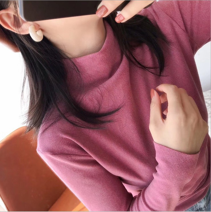 Korean version of autumn winter new cationic turtleneck base blouse women long-sleeved pullover women joker high stretch warm knitwear full figure
