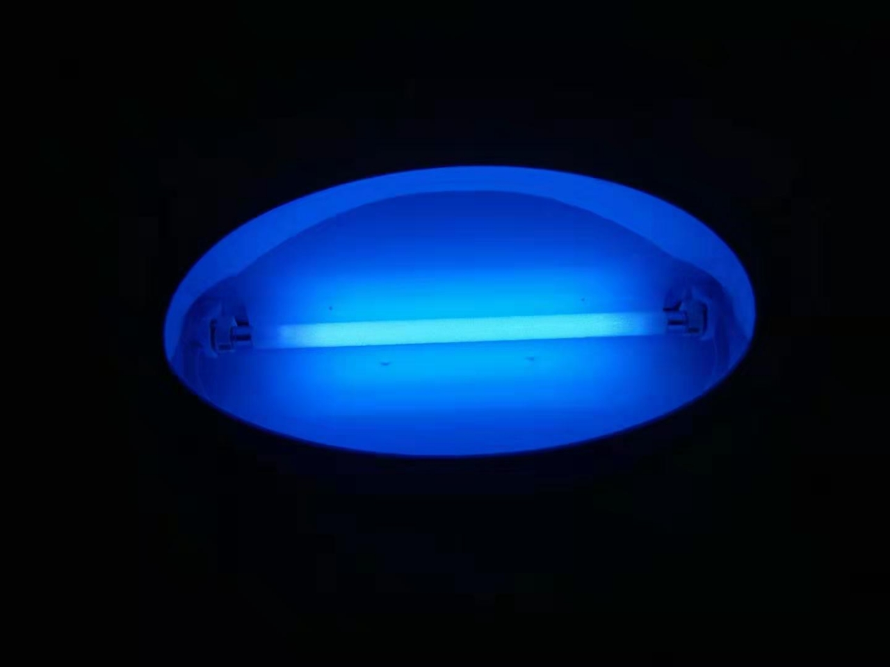 Fly repellent lamp, sticky trap type household mosquito repellent lamp for restaurants and hotels, fly lamp, electronic mosquito killer details Picture