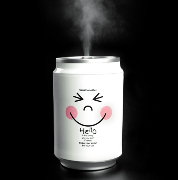 New unique gift ultrasonic negative ion atomizer cans Creative humidifier USB