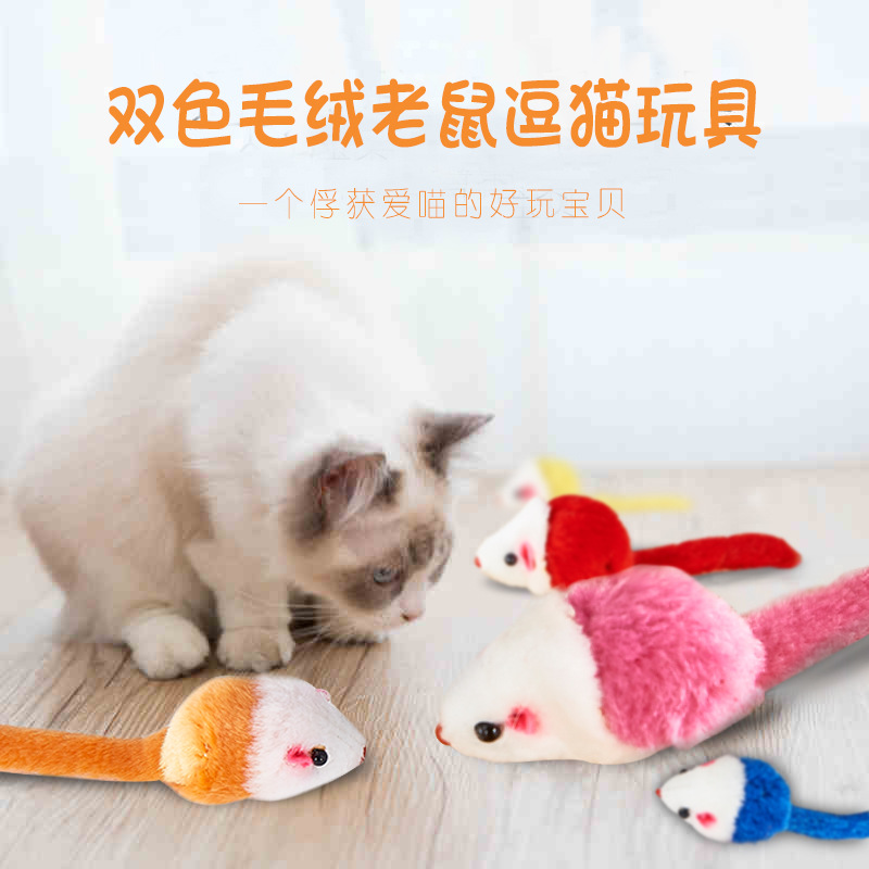 猫猫玩具实物图