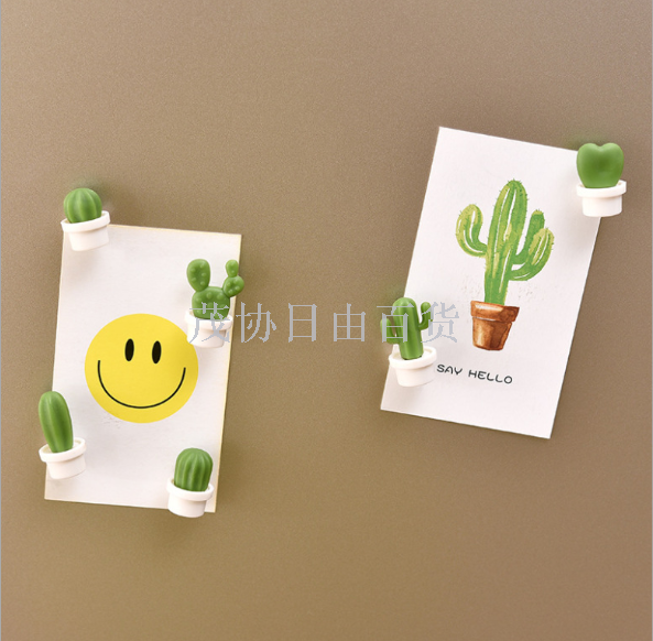 Three-dimensional 3D magnetic fridge magnet cactus fridge magnet