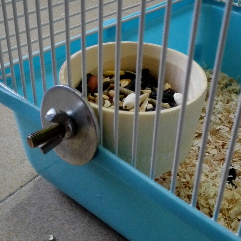 仓鼠生活用品实物图