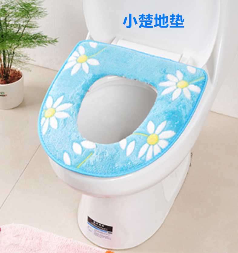 普通马桶盖实物图
